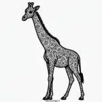 Coloriage Girafe