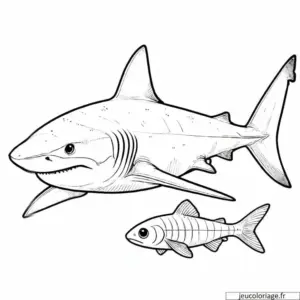 coloriage à imprimer